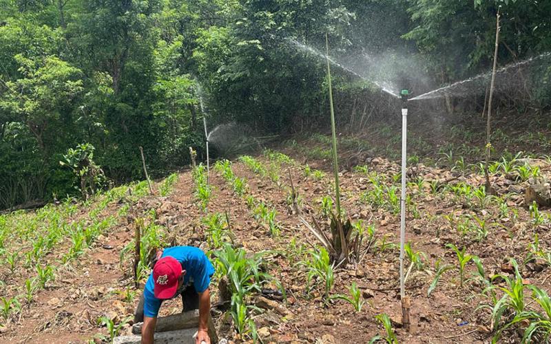 Riego fortalece la producción agrícola de 85 familias en Camotán