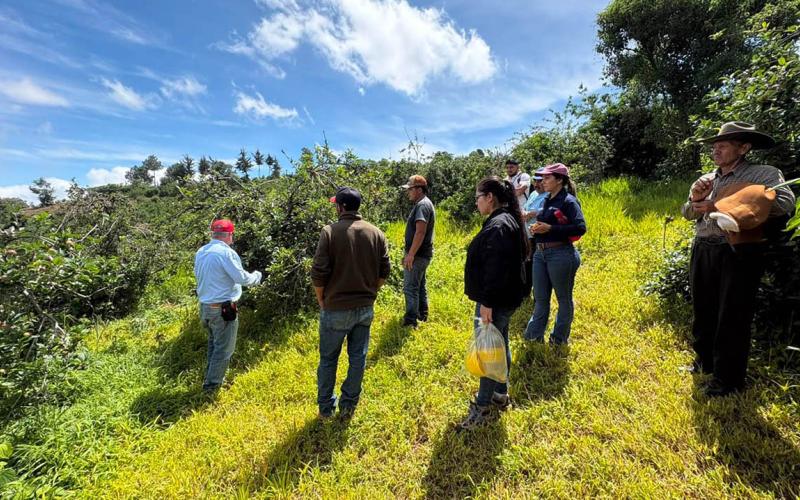 Tecnifican el manejo de plantaciones de manzana en Jalapa