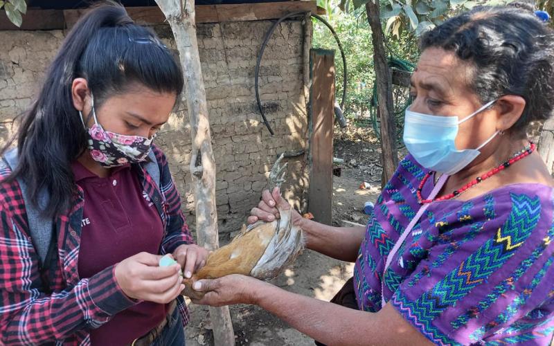 Vacunación y vigilancia sanitaria, claves para prevenir las zoonosis