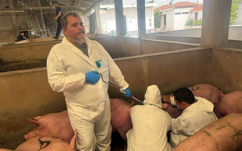 6 de julio - Día Mundial de la Zoonosis
