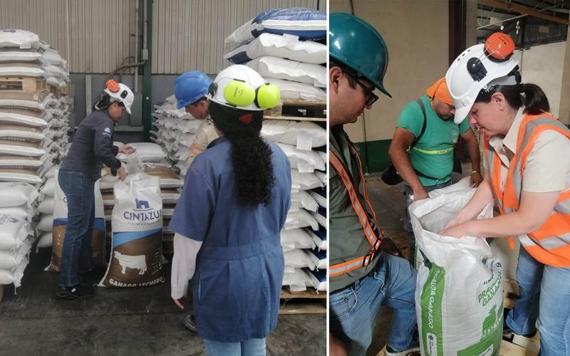 Verifican ausencia de proteínas prohibidas en alimentos para bovinos