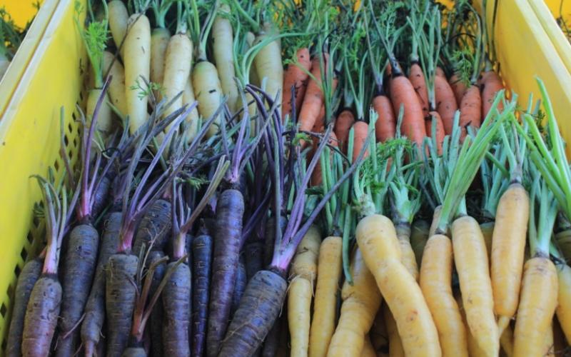 ¿Qué significa el color de cada alimento?