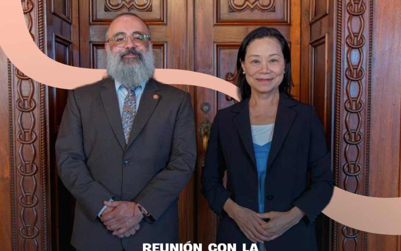 ¡Oportunidades de cooperación!