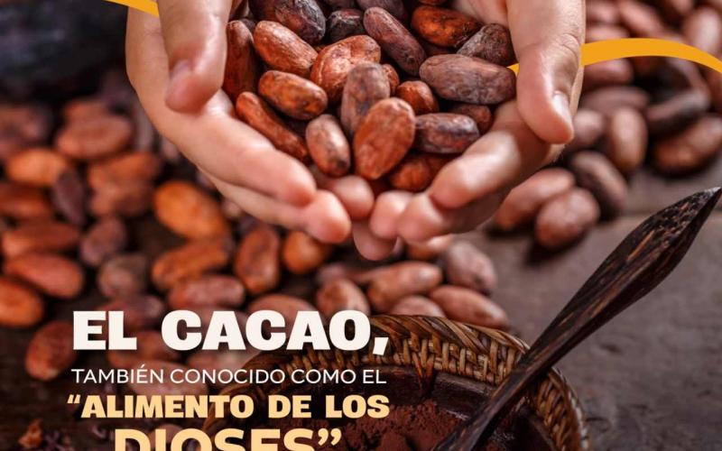 7 de julio, Día Internacional del Cacao