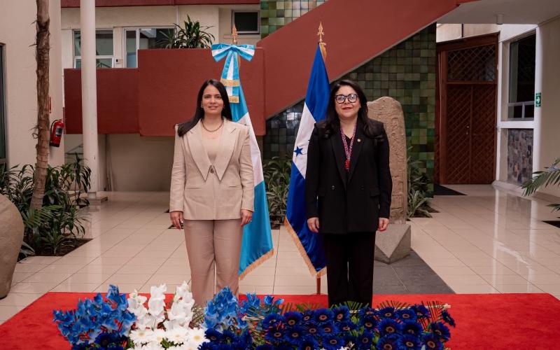 nota de prensa