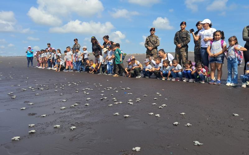 El Ejército de Guatemala fortalece la conservación de las tortugas marinas