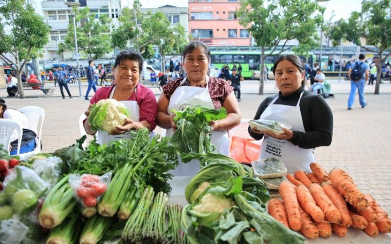 Próxima Feria del Agricultor en Villa Canales