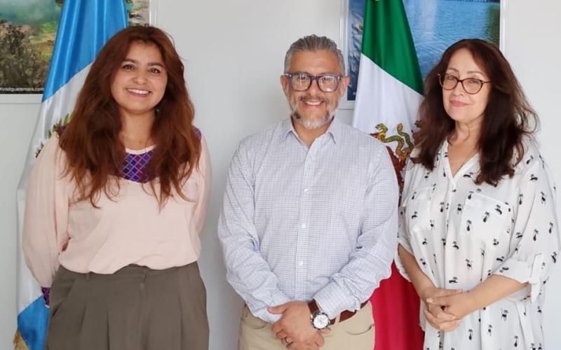 nota de prensa
