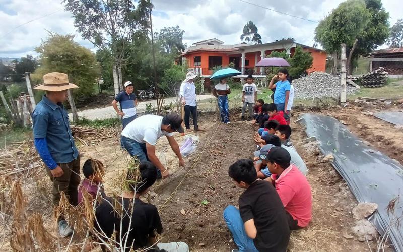 Aprender cultivando: estudiantes de Quiché fortalecen su alimentación con un huerto escolar