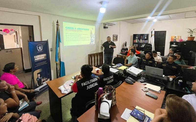 Fortalecen atención de casos de bienestar animal en Cuyotenango