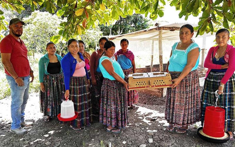 Entrega de pollos de engorde fortalece la economía familiar de mujeres peteneras
