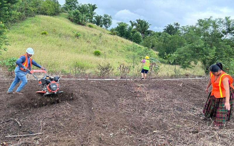 Impulsan producción de hortalizas con instalación de reservorio
