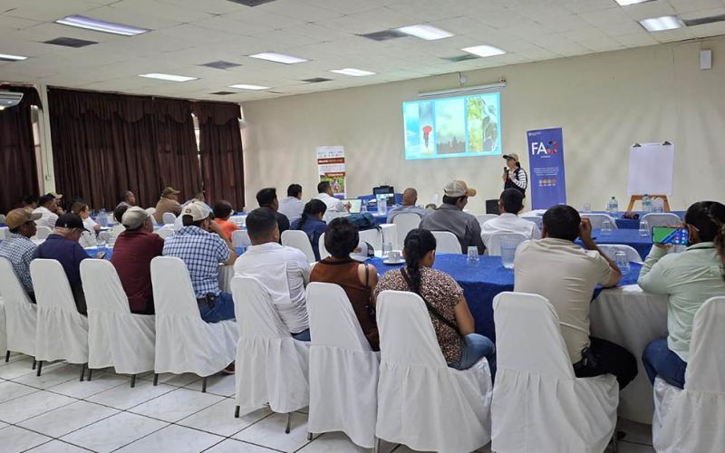 Emiten recomendaciones para fortalecer la producción agrícola en Zacapa, San Marcos e Izabal