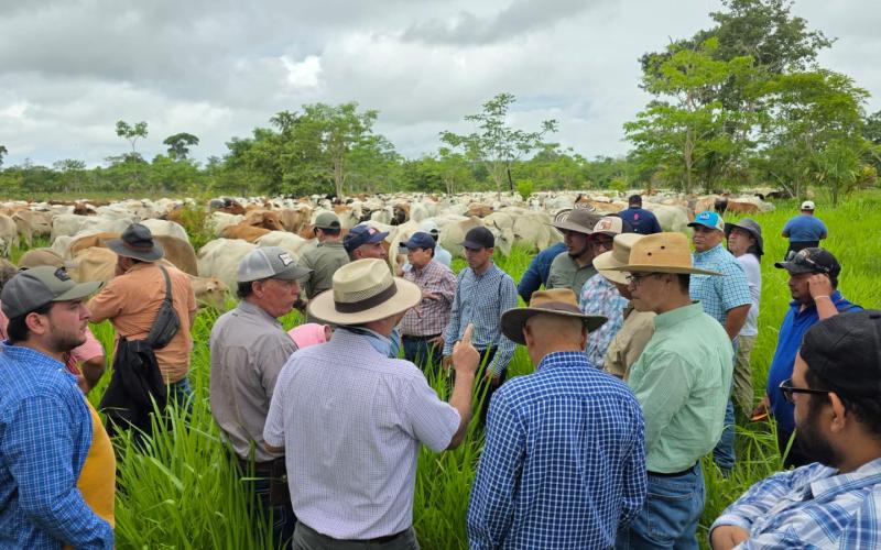Productores fortalecen prácticas de ganadería regenerativa