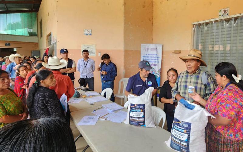 Productores de Alta Verapaz reciben semillas para fortalecer la producción de alimentos