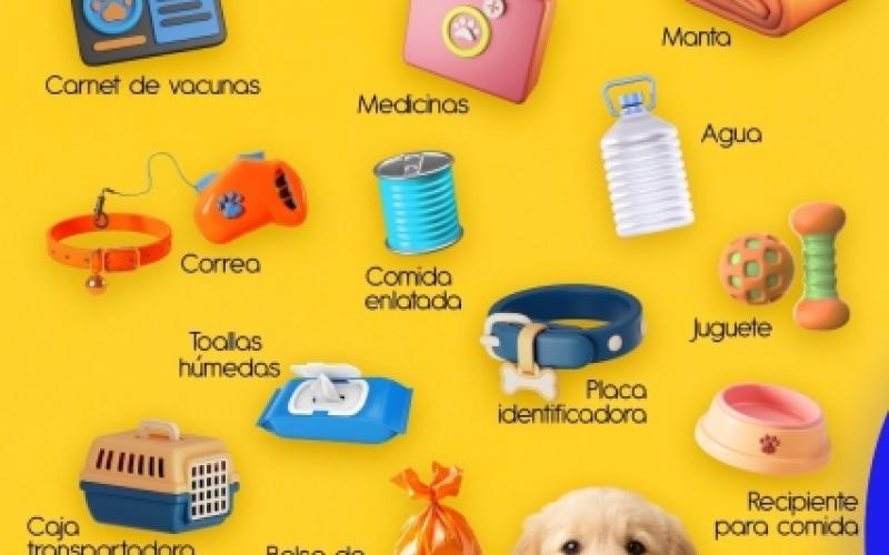 emergencia volcán de Fuego