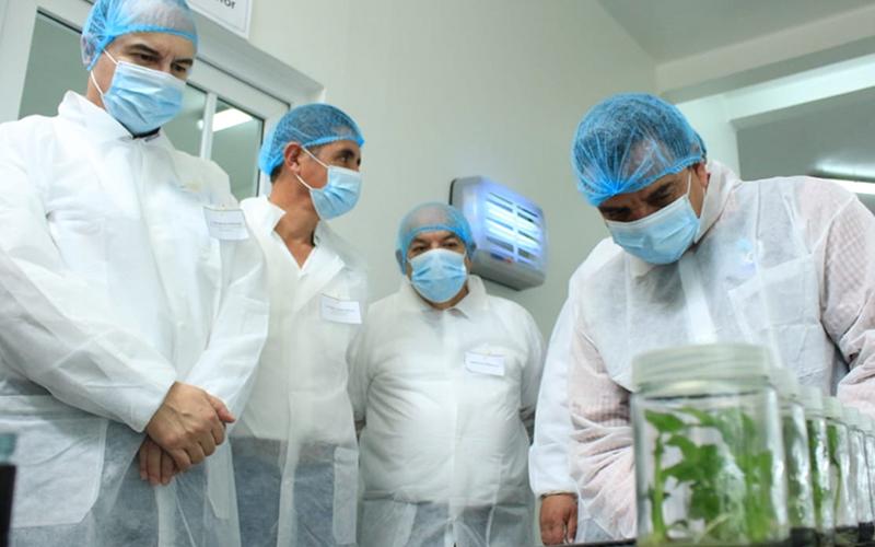 Próximo Congreso de Biotecnología