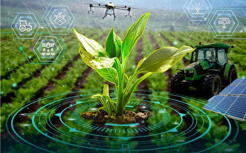 Escuintla se prepara para vivir la Feria AGTECH