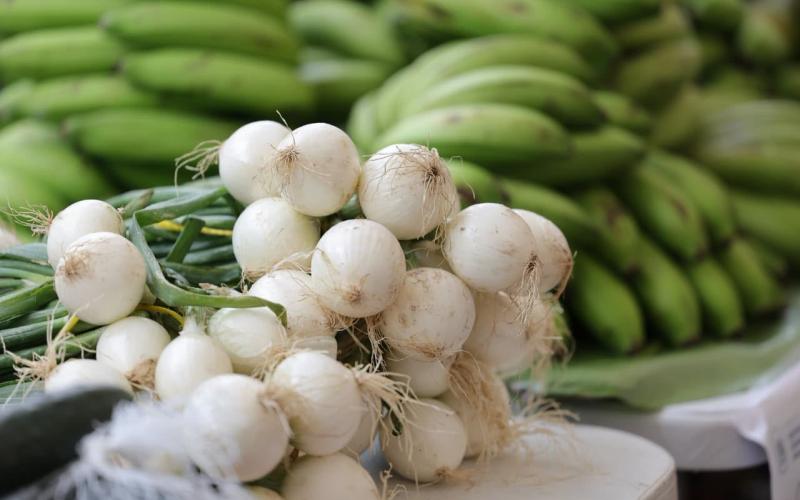 Muy pronto, la Feria del Agricultor estará en Alta Verapaz