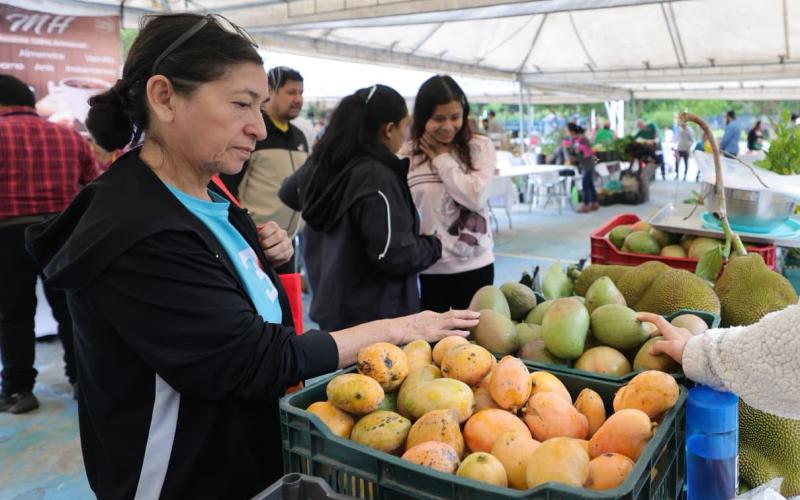 Mañana habrá Feria del Agricultor en Zacapa