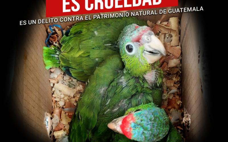 Déjame vivir