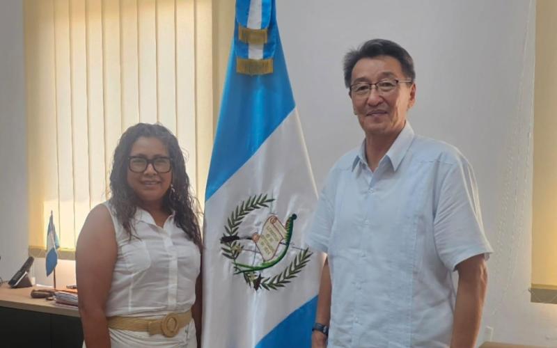nota de prensa