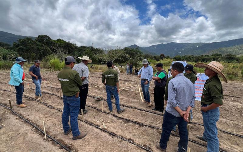 Productores de Baja Verapaz aprenden el manejo sostenible de suelos