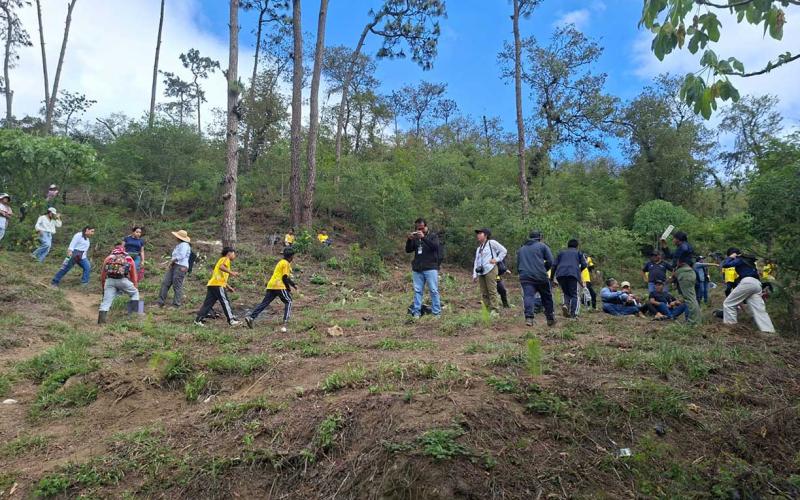 Actividad de reforestación fortalece la masa forestal en la cuenca del río Achiguate 