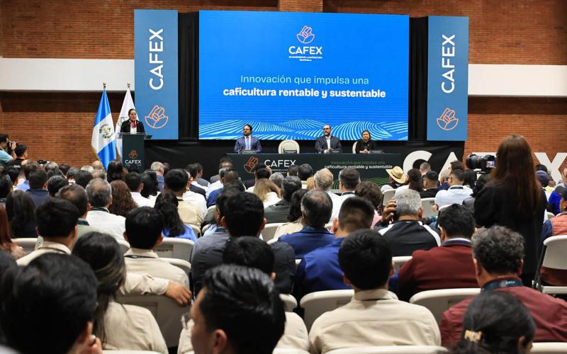 Congreso de la Caficultura promueve innovación y sostenibilidad de cultivo insignia