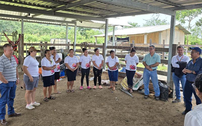 Constatan impacto de labores de extensión rural en Petén