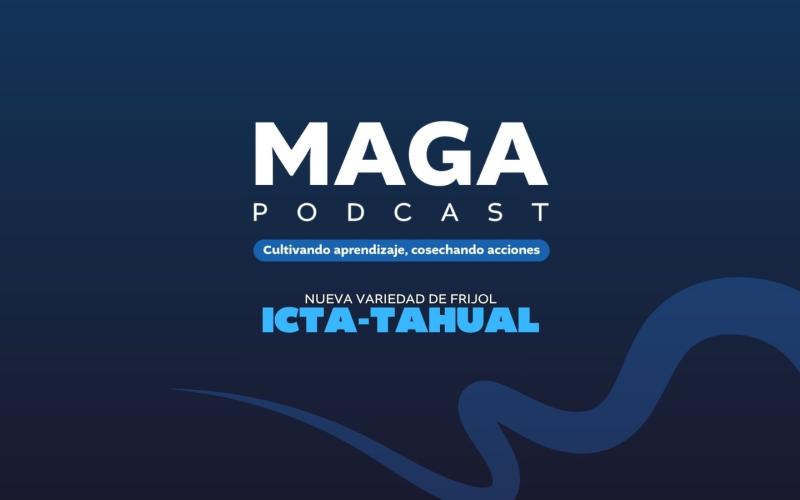 MAGAPodcast | Nueva variedad de frijol ICTA-Tahual