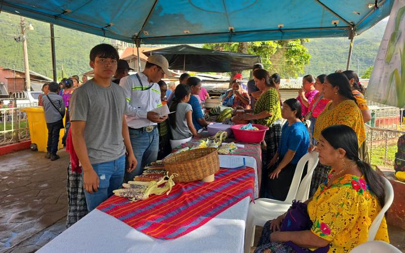 Destacan valor cultural y la importancia del maíz en la seguridad alimentaria en Alta Verapaz