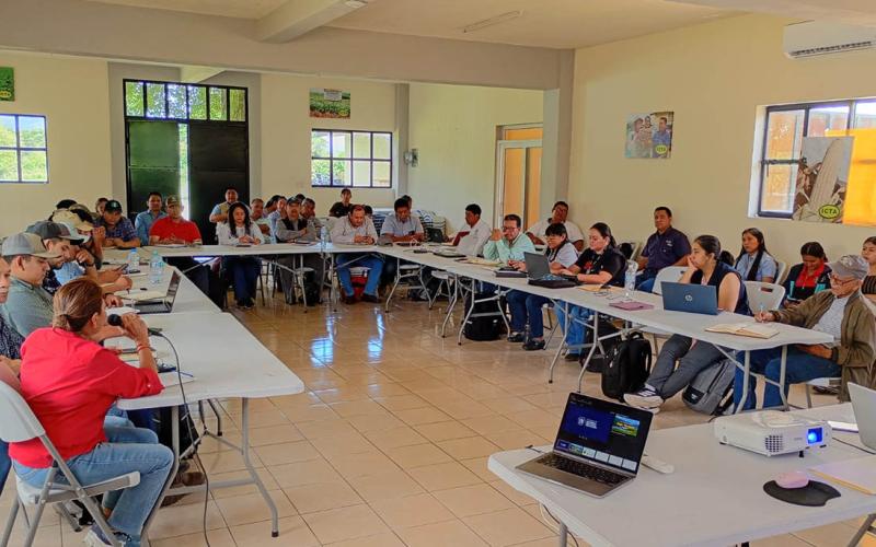 Emiten recomendaciones para que productores de occidente protejan sus cultivos