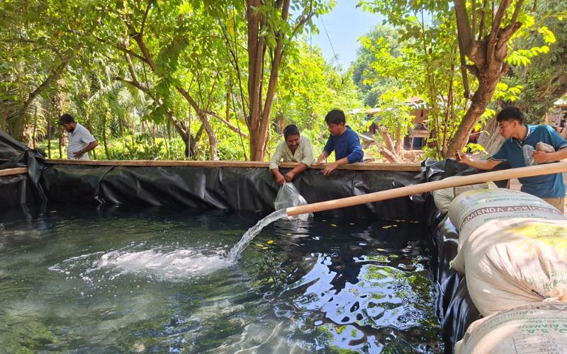 Entregan alevines de tilapia para fortalecer la producción de alimentos