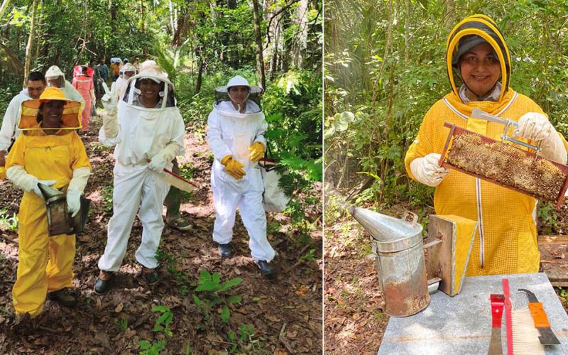 Extensionistas fortalecen conocimientos para mejorar el manejo de apiarios 