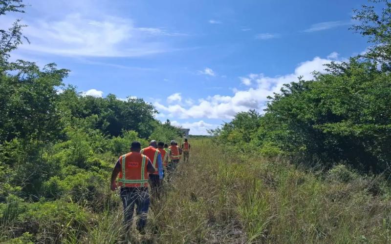 Fortalecen el manejo de fauna para vuelos más seguros en Mundo Maya