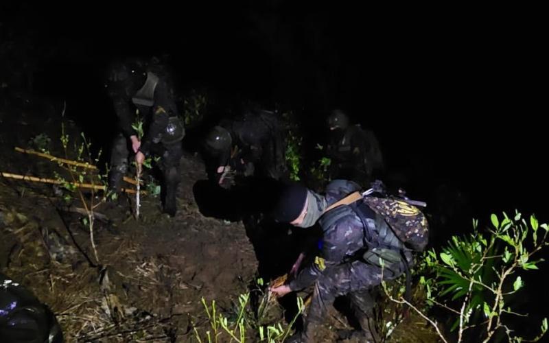 Ejército de Guatemala erradica más de 30 mil arbustos de hoja de coca en Alta Verapaz