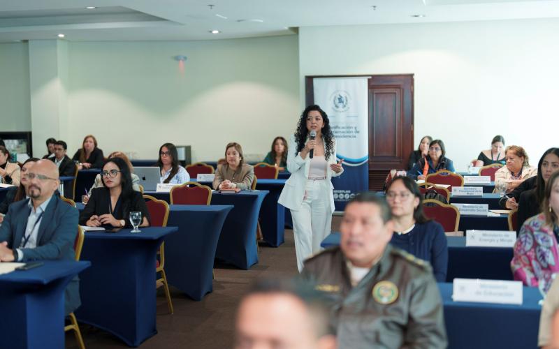 Lideradas por SEGEPLAN, las instituciones públicas elaboran un catálogo interactivo de la oferta de la cooperación técnica en el país