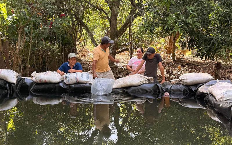 Familias de Santa Rosa fortalecen la producción de tilapia