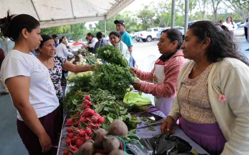 Feria del Agricultor impulsa la economía familiar de hogares capitalinos