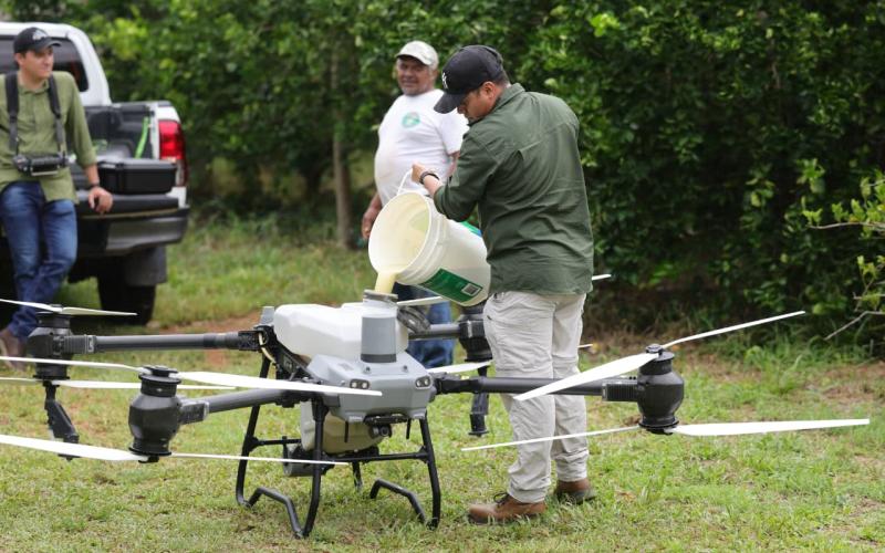 Fumigación con dron fortalece el manejo de cultivos en Petén