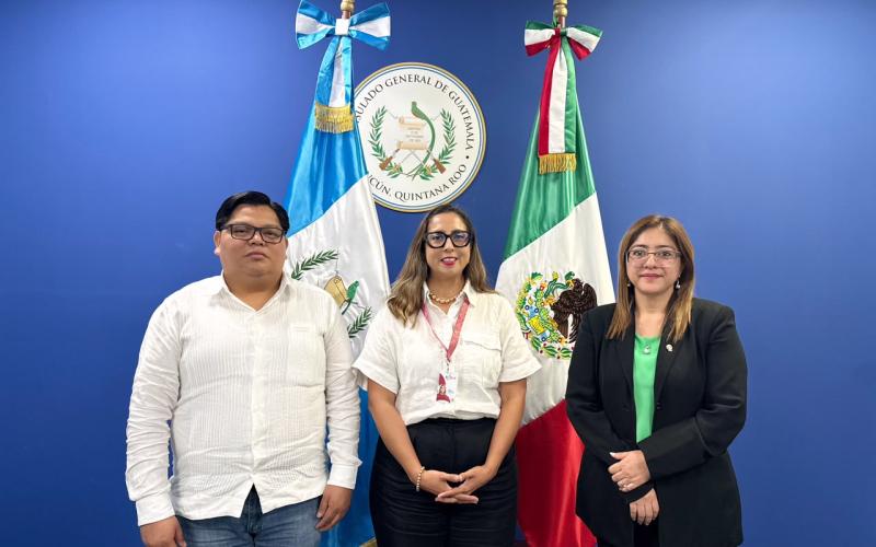 nota de prensa