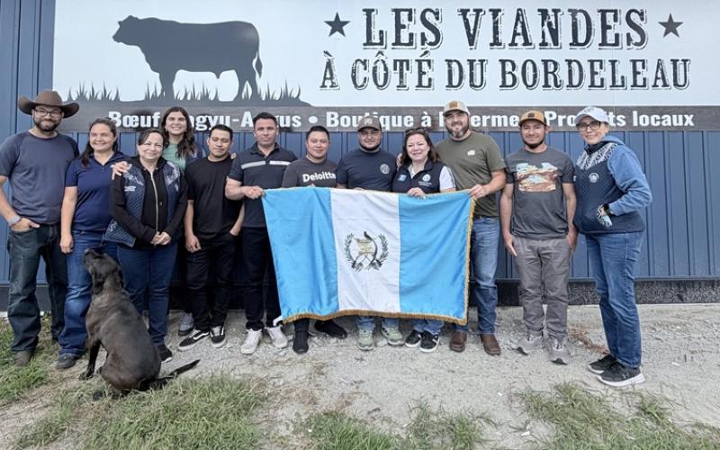 nota de prensa