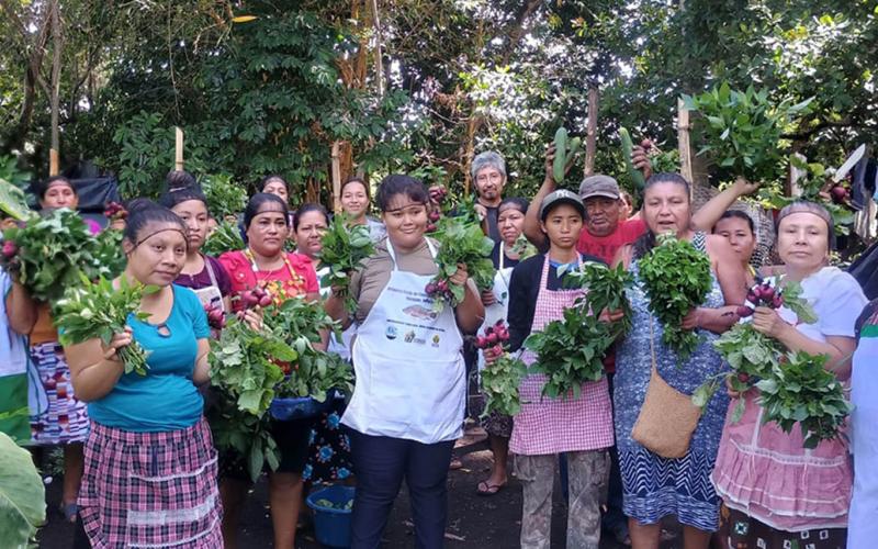 Huerto comunal impulsa la nutrición y el consumo de alimentos locales en Masagua