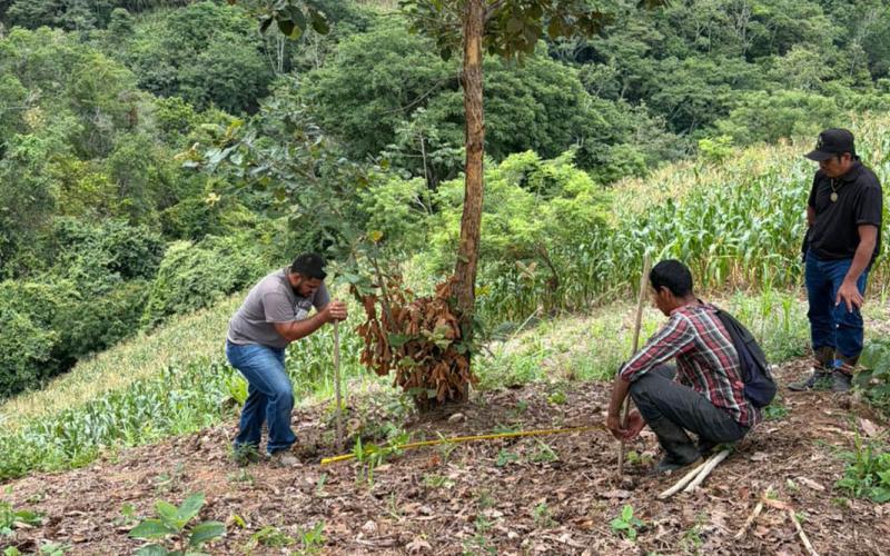 Implementan sistema de riego por goteo y reservorio en huertos grupales