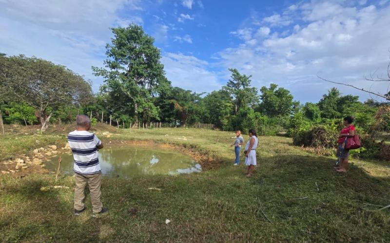 Impulsan cultivo de tilapia brindado asistencia técnica en Sayaxché