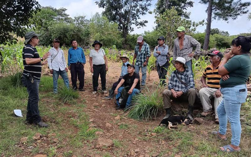 Impulsan la seguridad alimentaria y el registro de agricultores en San Pedro Ayampuc