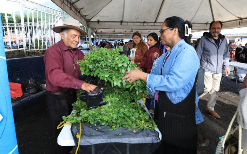 Los productos a precios accesibles de la Feria del Agricultor llegan a la zona 7