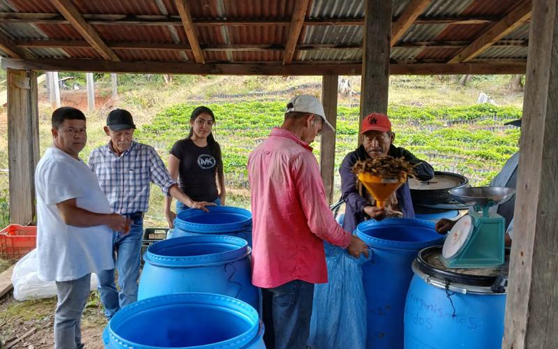 Nutren siembras de café y hortalizas por medio de agricultura orgánica