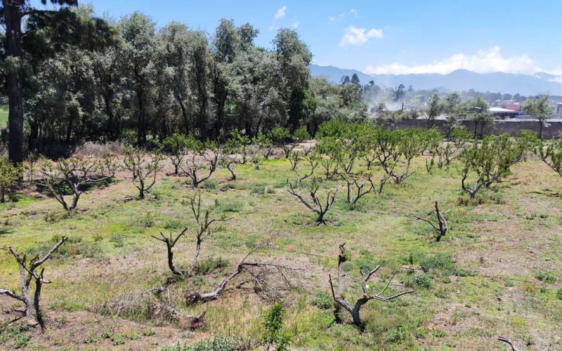 Onda del este podría favorecer lluvias a mediados de semana